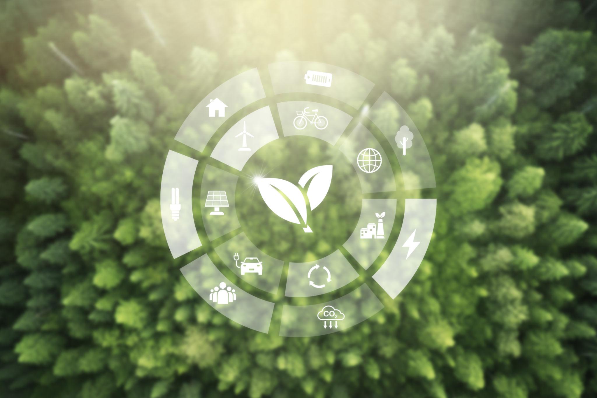 Net Zero Taahhüdü: Şirketlere Açılan Yeni Kapılar ve Muhtemel Tuzaklar